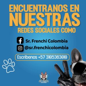 srfrenchicolombia58